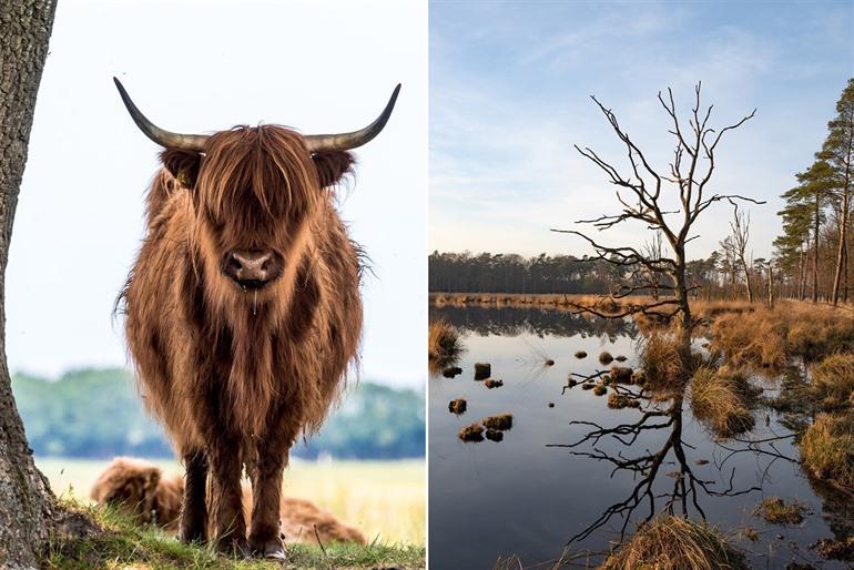 Nationaal Park Drentsche Aa