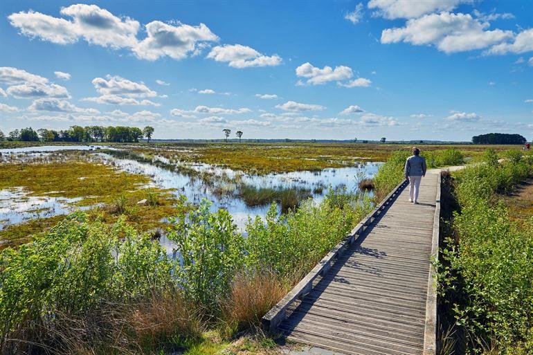 Nationaal Park Dwingelderveld in Drenthe