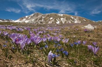 Nationaal park Gran Sasso, Abruzzen, Italië