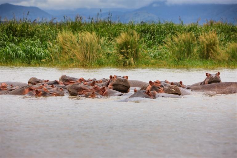 Nationaal Park Nechisar