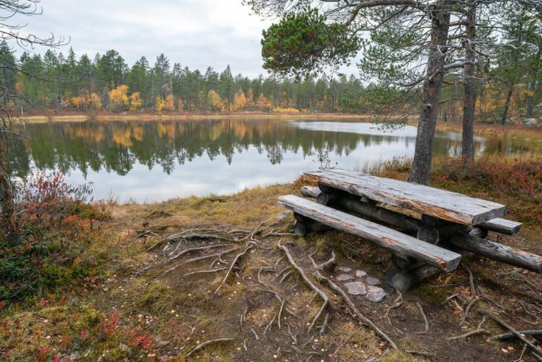 Nationaal park Pallas-Yllästunturi in Finland