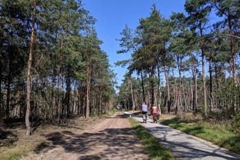 Nationaal Park Sallandse Heuvelrug