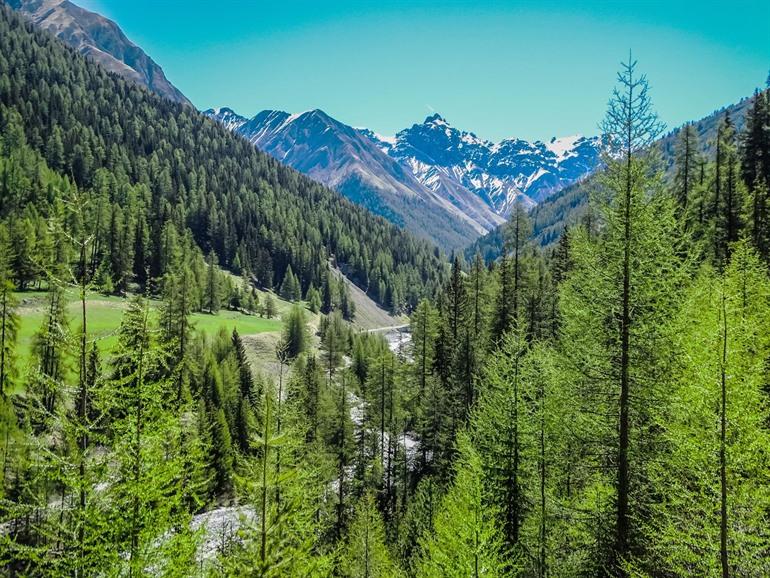 Nationaal Park Zwitserland