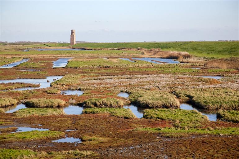 Nationale Park Oosterschelde