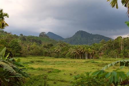 Nationale Parken Sri Lanka
