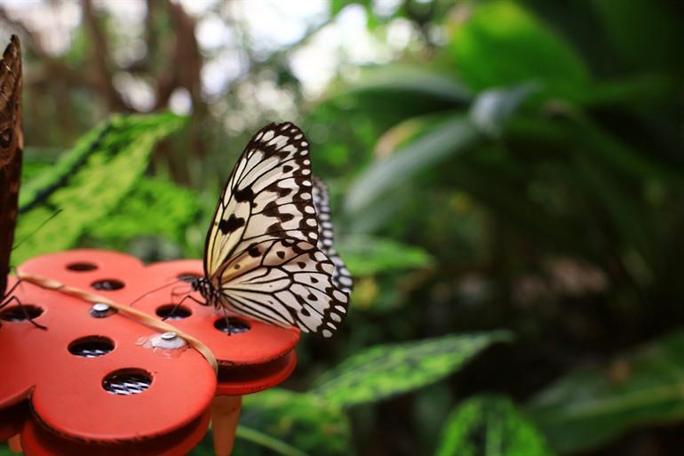 Naturospace in Honfleur