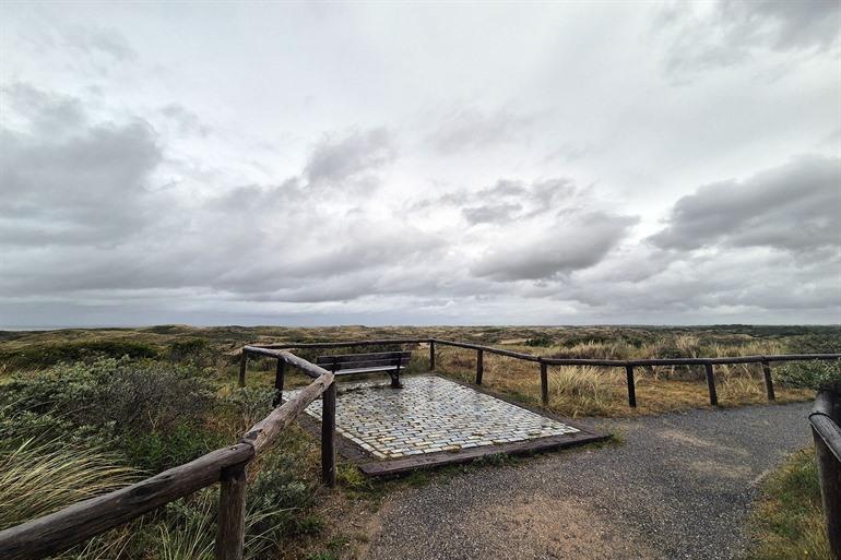 Natuur- en duinengebied Meijendel