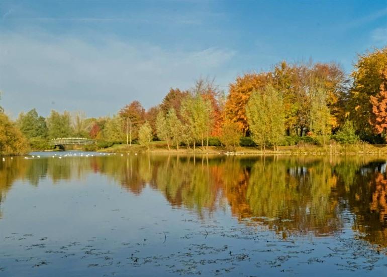 Natuur rond Wierden