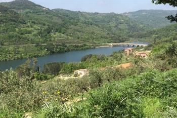 Natuurhuisje in Cicerale boeken