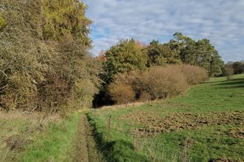 Natuurreservaat en kasteel Modave