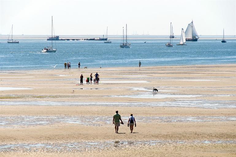 Noordsvaarder, Terschelling