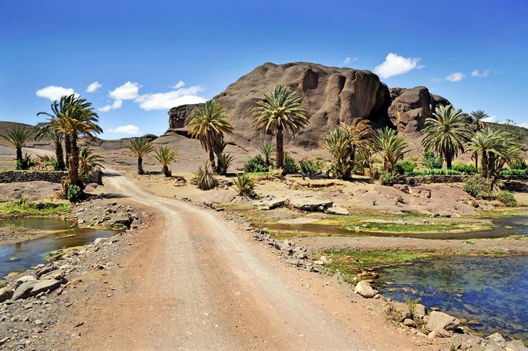 Oase Fint, Ouarzazate