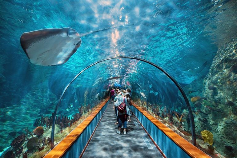 Onderwatertunnel in Loro Parque, Tenerife
