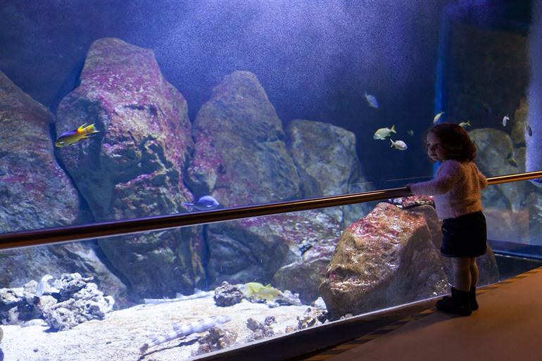 Ontdek de onderwaterwereld van Acquario di Livorno