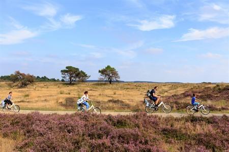 Ontdek het Nationaal Park De Hoge Veluwe vanop de fiets