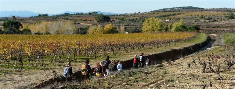 Ontdek het ongerepte landschap van de Priorat wijnregio