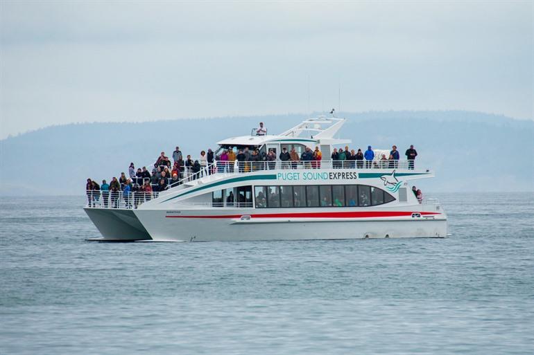 Op zoek naar walvissen in Puget Sound