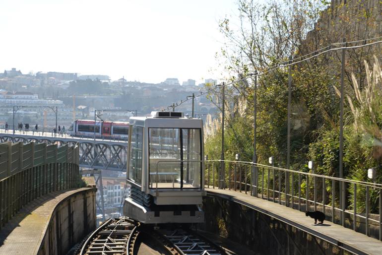 Openbaar vervoer Porto