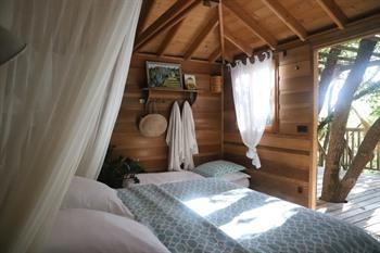 Orion Treehouses boeken