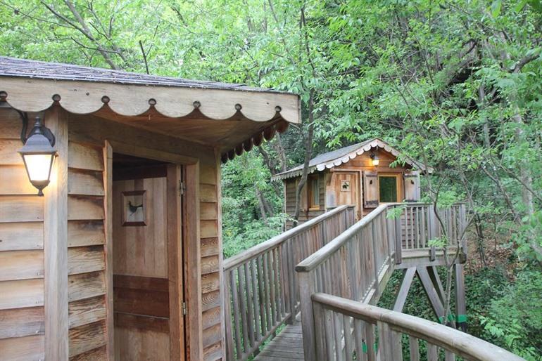 Orion Treehouses boeken