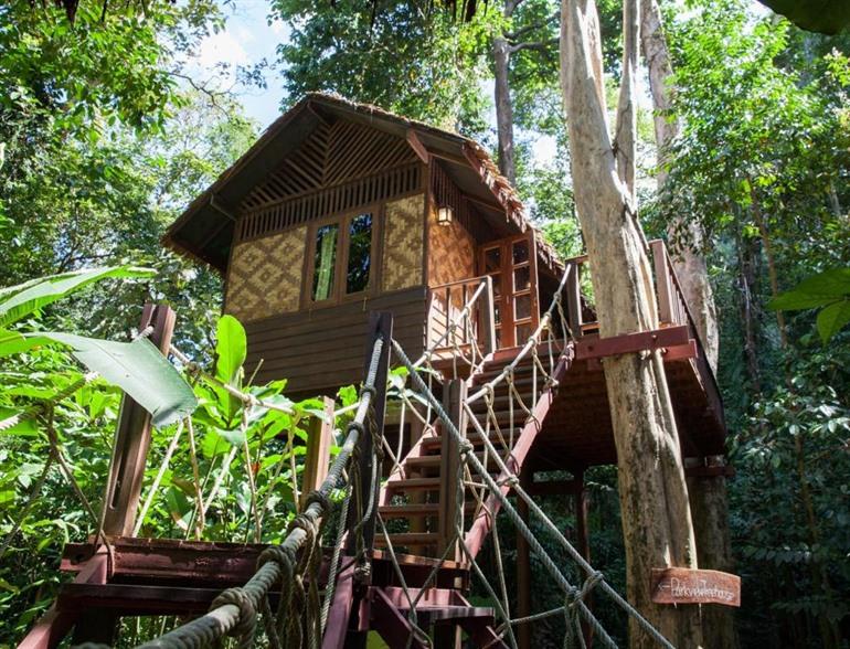 Our Jungle House boeken