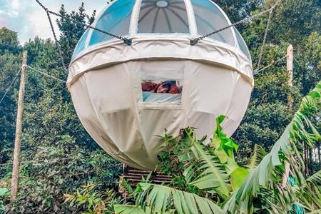 Overnacht in je eigen bubbel van Quinta do Abacate Glamping