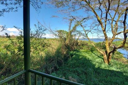 Overnachten bij Yellow Haven Lodge