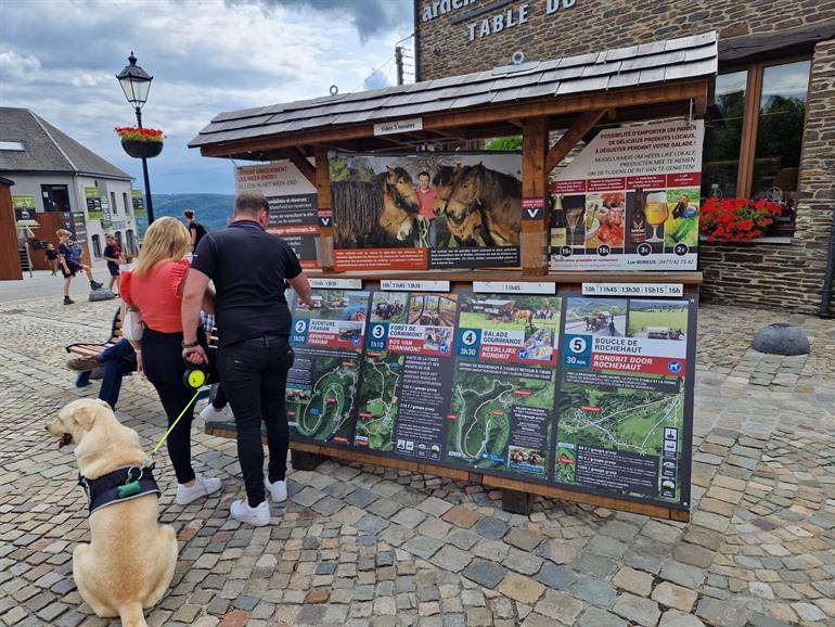 Paardenkoets in Rochehaut