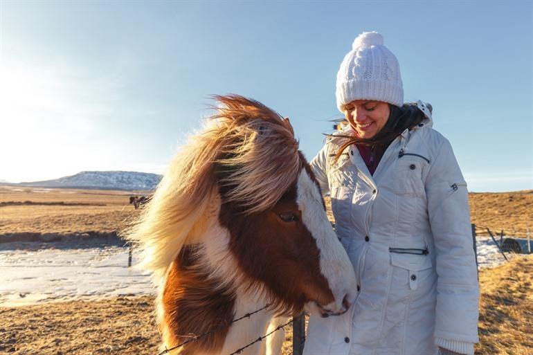 Paardrijden in Thingvellir