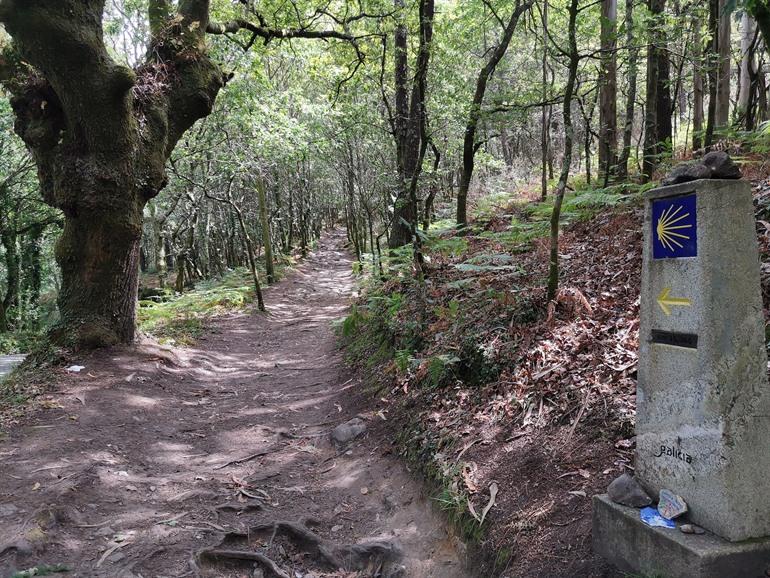 Padrón wandeltocht Compostela