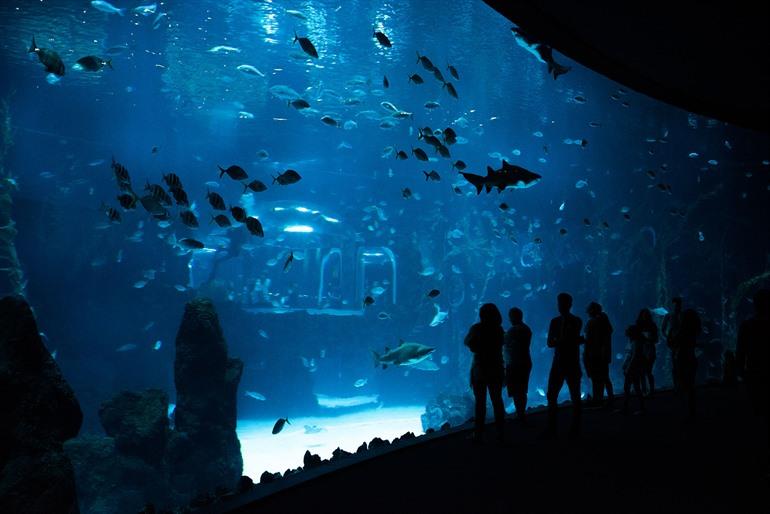 Palma Aquarium