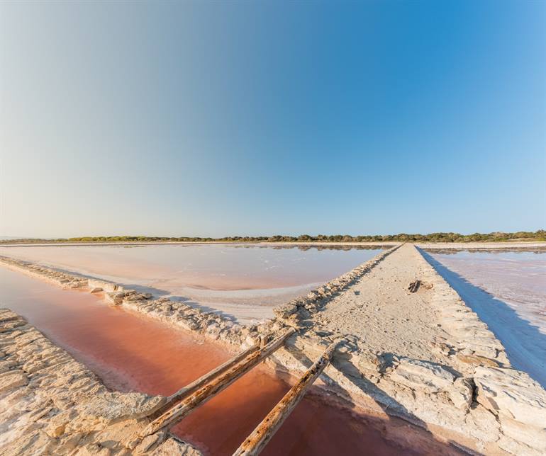 Parc Natural Ses Salines d’Eivissa