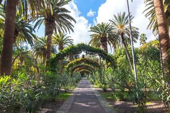 Parque de Garcia Sanabria bezoeken op Tenerife
