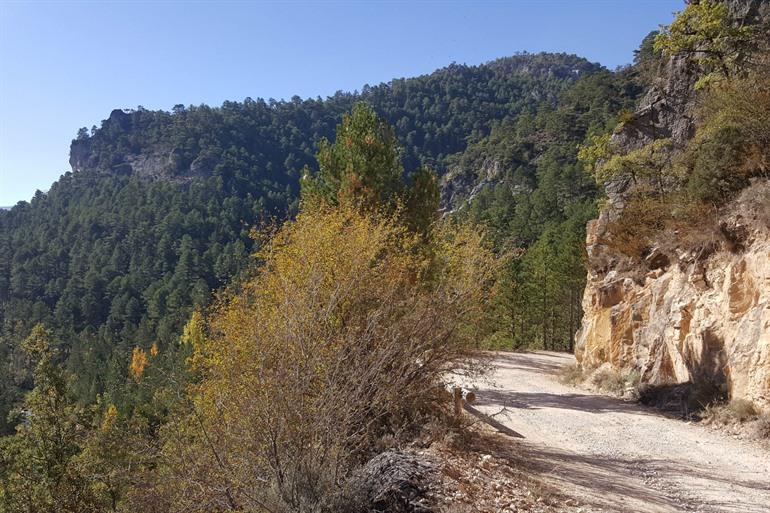Parque Natural del Tajo Internacional
