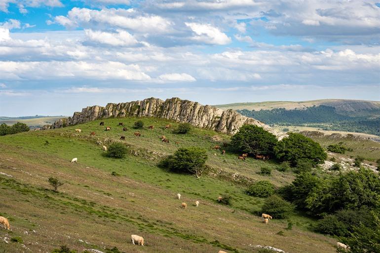 Parque Natural Urbasa Andía