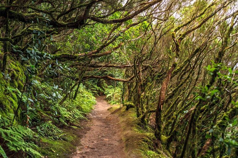 Parque Rural de Anaga