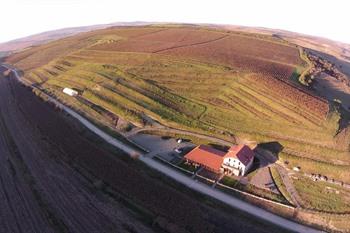 Pension Sarea-n Bucate (Crama la Salina)