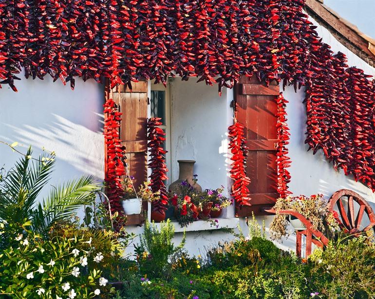 Pepers die hangen te drogen aan de witgekleurde huisjes van Espelette
