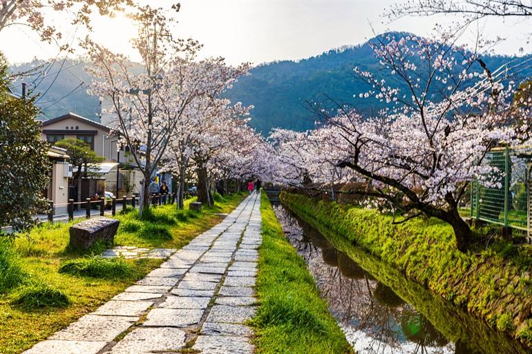 Philosopher’s Path in Kyoto