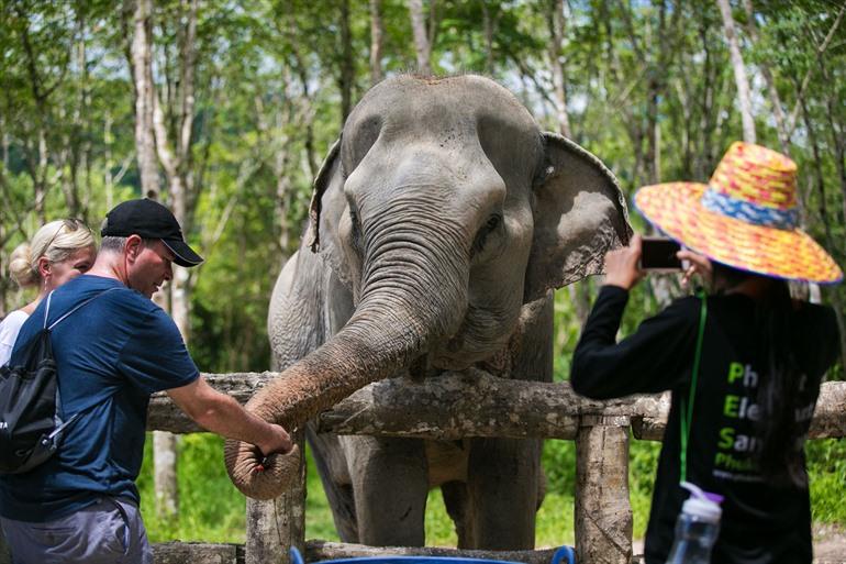Phuket Elephant Sanctuary, Phuket