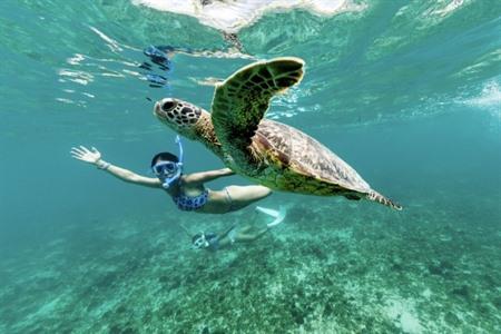 Phuket: Similan-dagtocht per speedboot