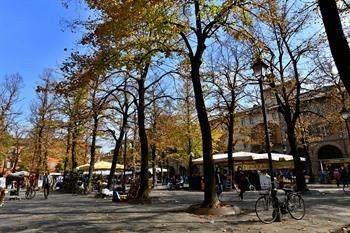 Piazza Antonio Fontanesi, Reggio Emilia