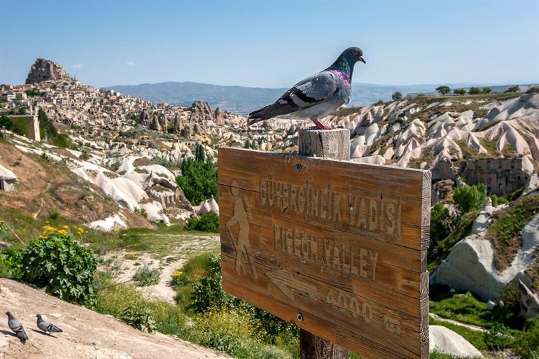 Pigeon Valley bezoeken in Cappadocië, Turkije