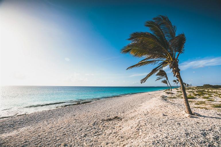 Pink Beach, Bonaire