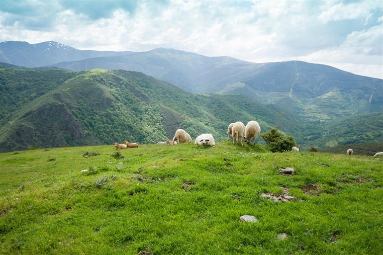 Plattelandstoerisme Spanje