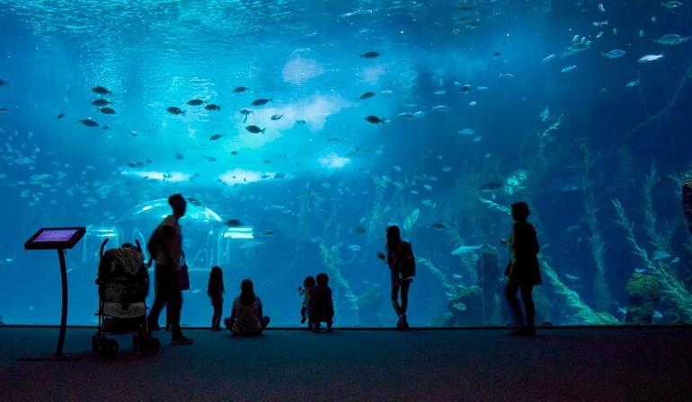 Poema del Mar Aquarium bezoeken