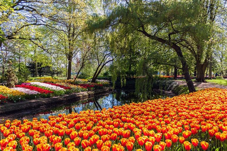 Poldertuin Anna Paulowna, Noord-Holland