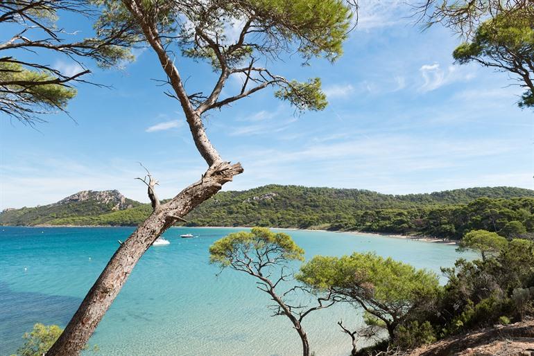 Porquerolles, ïles d'Hyères, Frankrijk