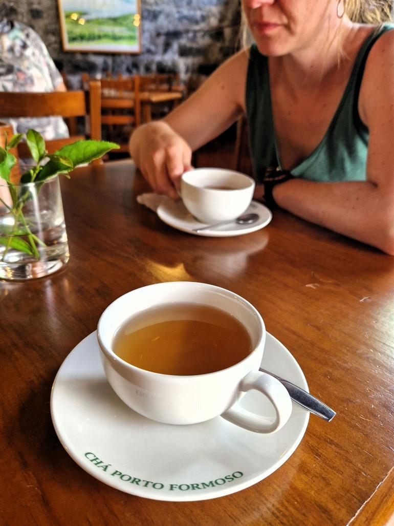 Porto Formoso theeplantage bezoeken, Sao Miguel