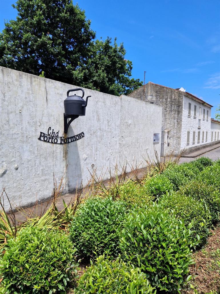 Porto Formoso theeplantage bezoeken, Sao Miguel